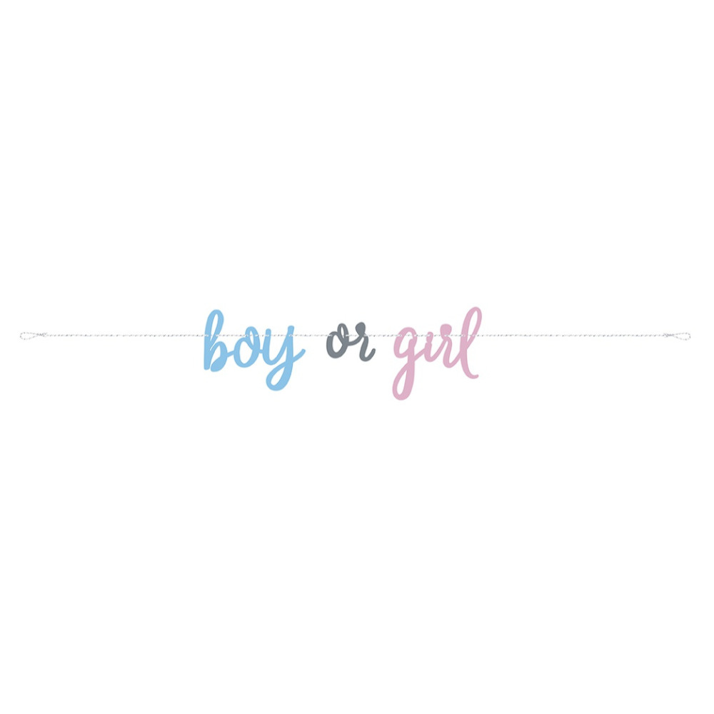 Party Banner Gender Reveal