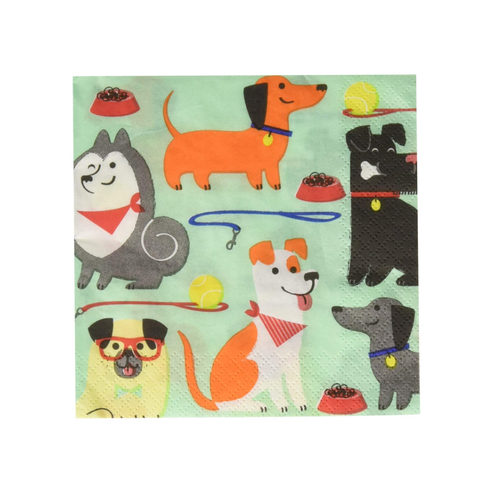 Serv. Ch Dog Party 16pz