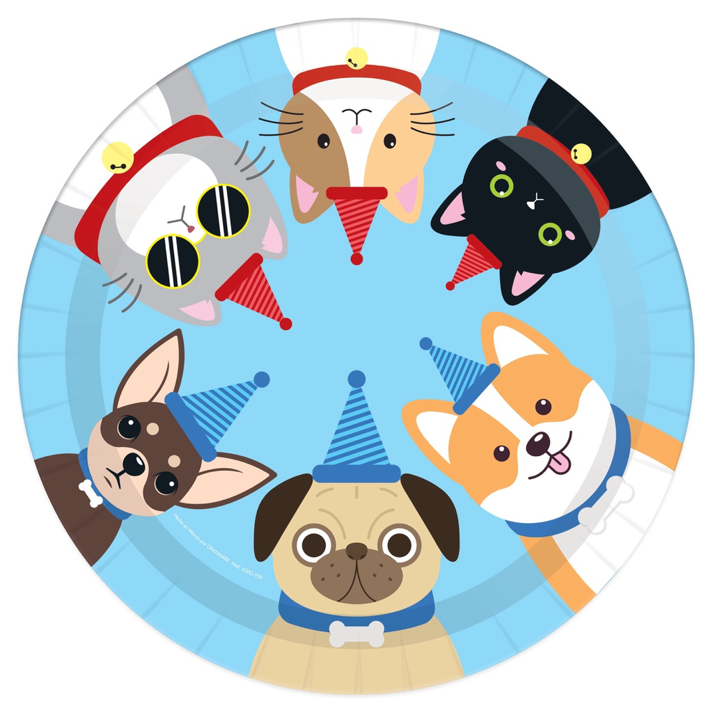 Plato 9 Happy Birthday Pet 8pz