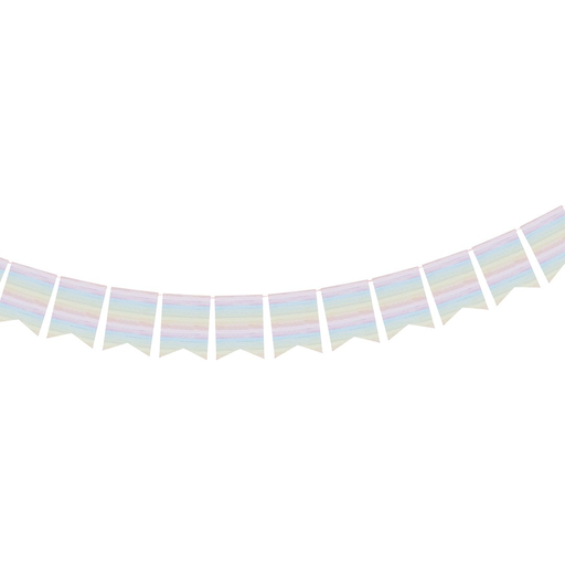 [P07.HBER100] Eco Rainbow Flag Banner 3M