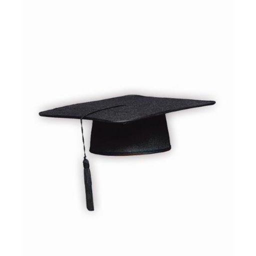 [P04.5087/1] Birrete de Graduación Infantil