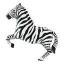 Zebra Black SShp 34"