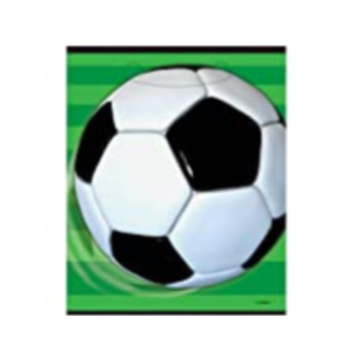 [P06.27313] Bolsa Dul 3D Soccer C/8