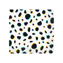 Serv. Ch Animal Safari C/16