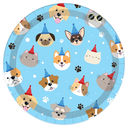 Plato 7 Happy Birthday Pet 8Pz