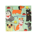 Serv. Ch Dog Party 16pz