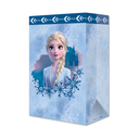 Bolsa Dul Bond Frozen 2 10pz