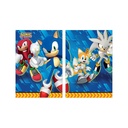 Photo Banner Sonic